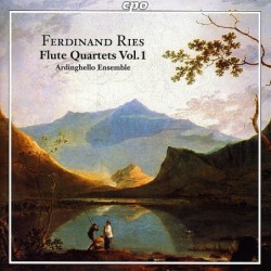 Ferdinand Ries: Flute...